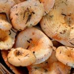 Sustainable Cooking Tips for Eco-Conscious Eaters