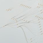 Class Size Debates: What Research Shows