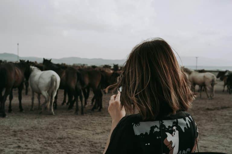 Photographing Wildlife Without Leaving a Trace
