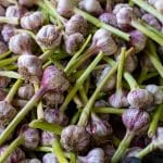Cooking with Whole Grains for Better Health