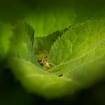 Secondhand Finds: The Thrill of the Hunt