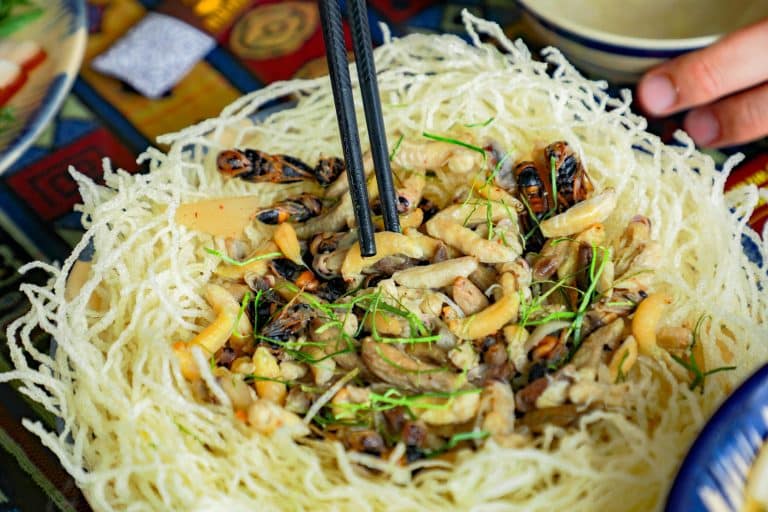Global Noodle Dishes Worth Slurping and Savoring