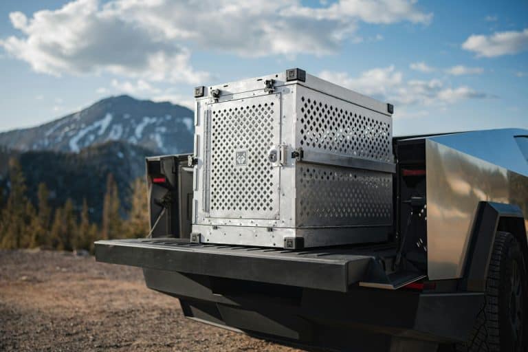 The Most Durable Gadgets for Outdoor Enthusiasts