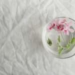 Floating Villages Where Life Moves with Water