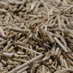 Eco-Friendly Gadgets: The Rise of Solar and Recycled Materials