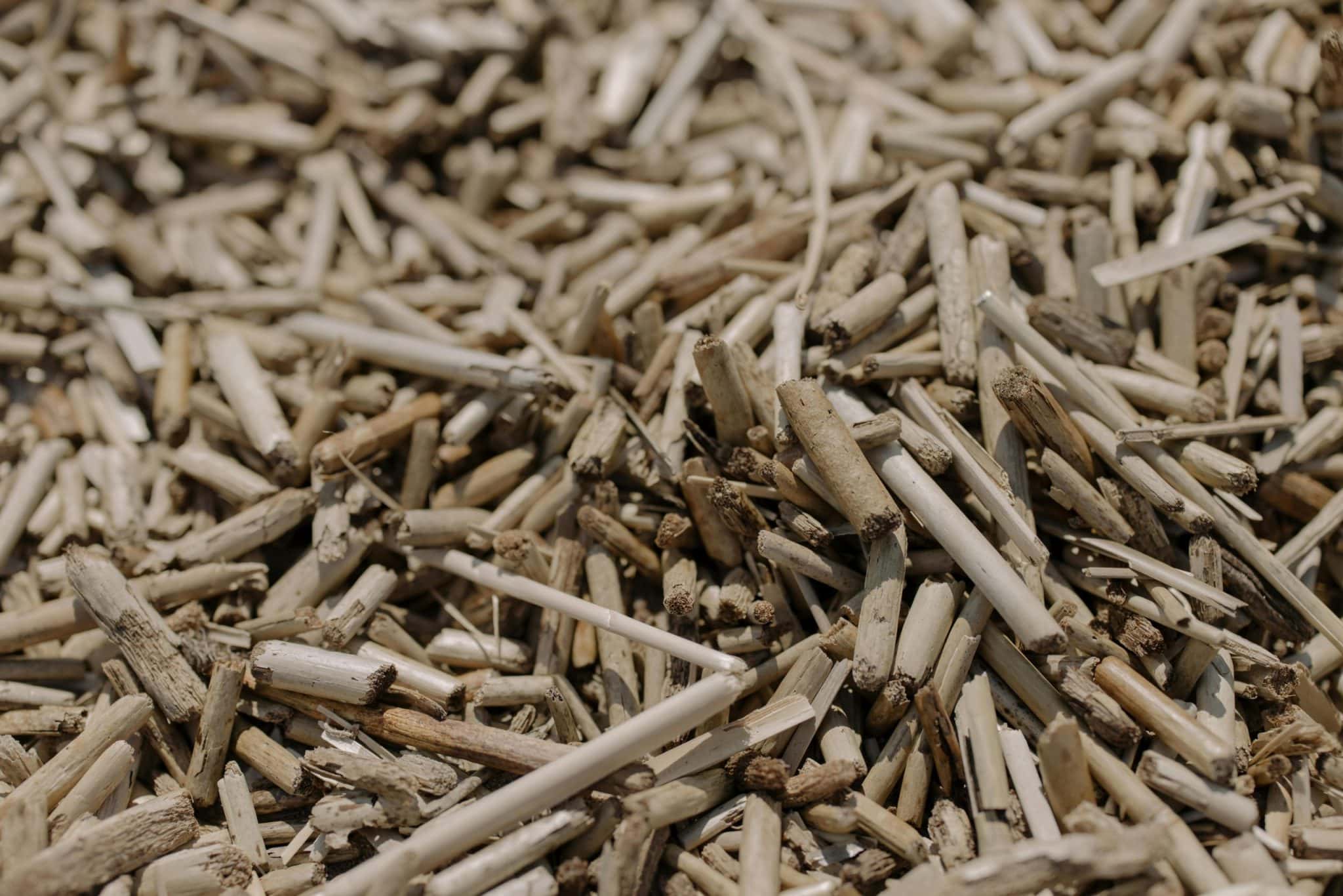 Eco-Friendly Gadgets: The Rise of Solar and Recycled Materials