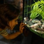 Exploring the World’s Largest Natural Wonders