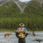 Mountain Railways with Views Worth the Journey