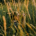 Field Trips: Learning Beyond School Walls