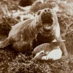 Career Exploration Opportunities in High School