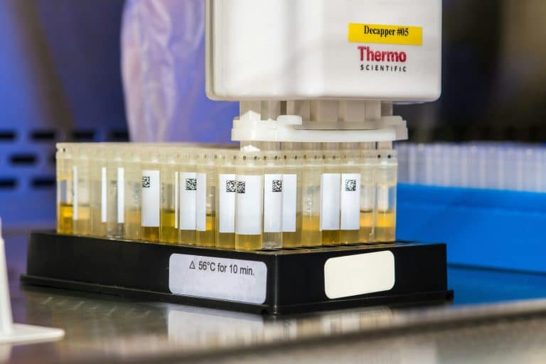 Crash Test Ratings: What Do They Really Mean?